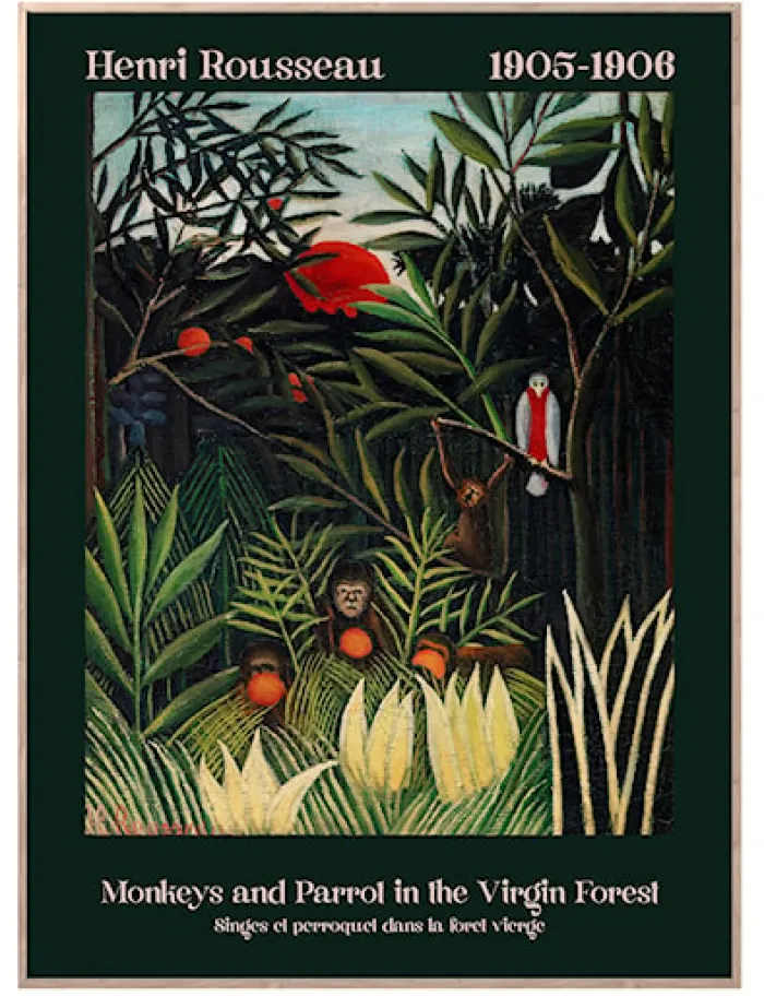 Obraz w ramie Virgin Forest 70x50 cm