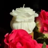 Świeca z wosku palmowego Rose Bow 155 g