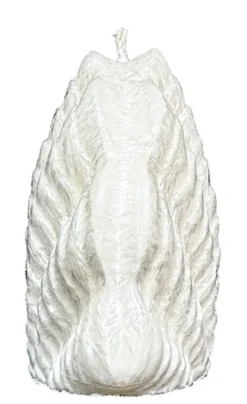 Świeca z wosku palmowego Shell 185 g